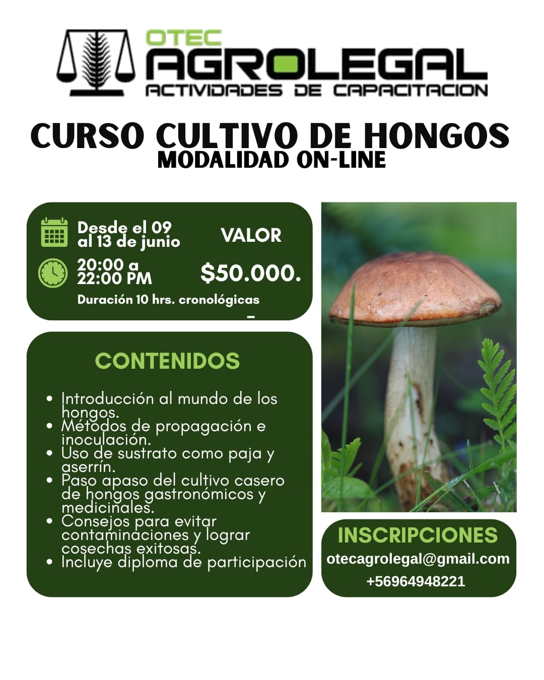 CULTIVO DE HONGOS